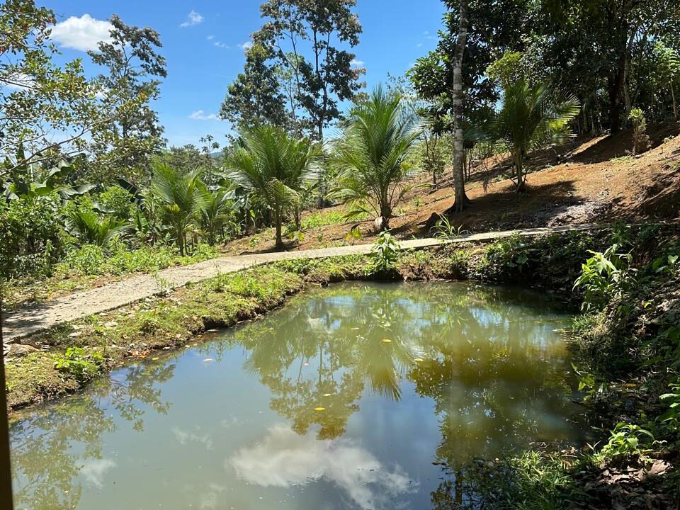 Cabaña Los Carmona - Rio Celeste foto 3